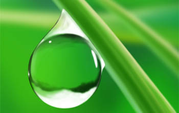 表面張力的表現